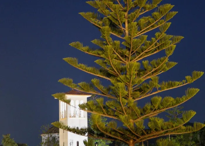 Sunview 클레마스티